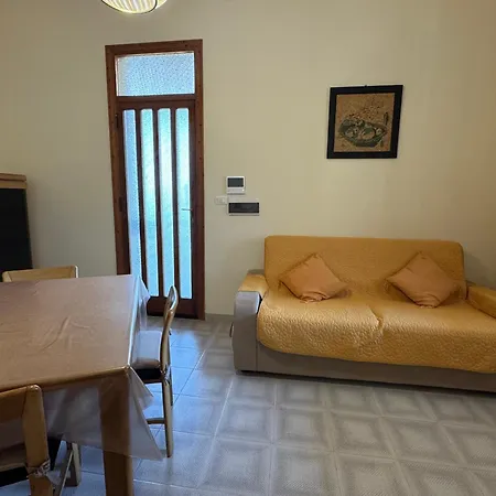 فيلة Paradise