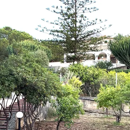 Paradise * 발더라이스