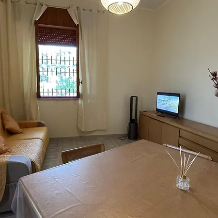 Paradise ולדריצ'ה