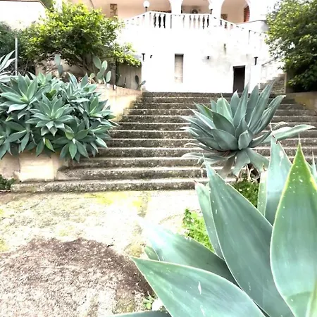 Paradise